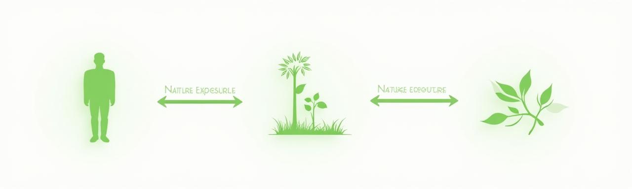 Diagram illustrating the connection between exposure to natural environments and parasympathetic nervous system activation, showing decreased cortisol and heart rate.